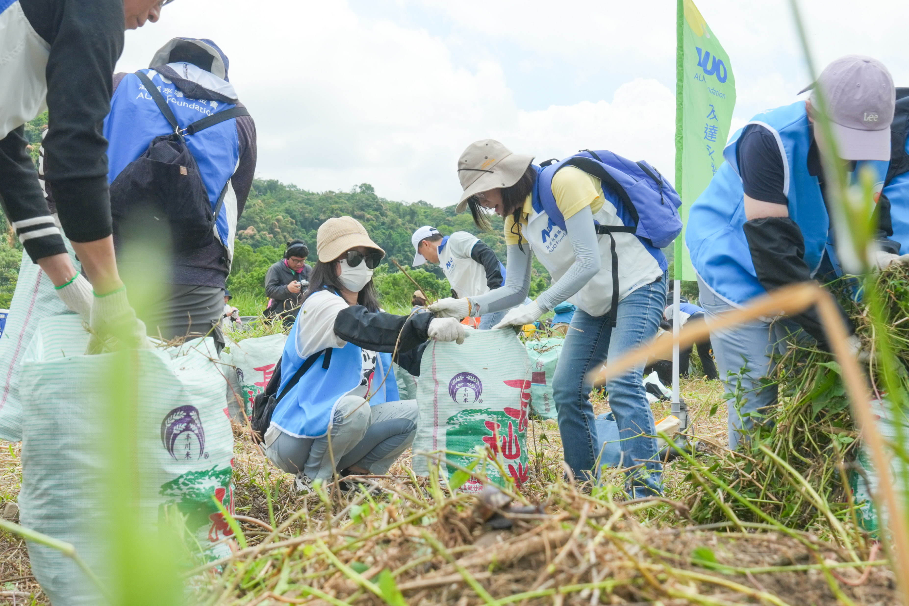 FUN88樂天除蔓防治計畫，除了鎖定霄裡溪沿岸3.2公里移除外來入侵種小花蔓澤蘭，並進行物種與空拍調查，共記錄91科181屬239種維管束植物，顯示該區域具高度生態價值